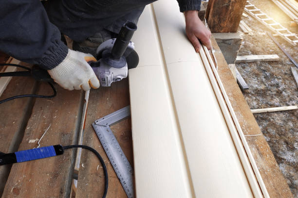 Best Aluminum Siding Installation  in Juneau, AK